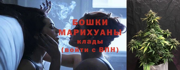 гидра Алексеевка