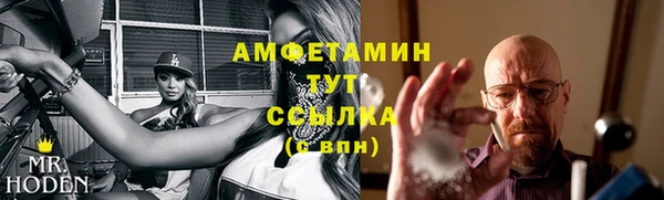 гидра Алексеевка