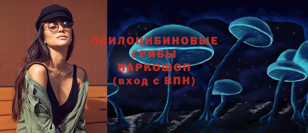 гидра Алексеевка