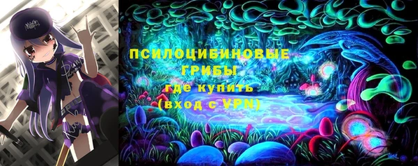 гидра Алексеевка