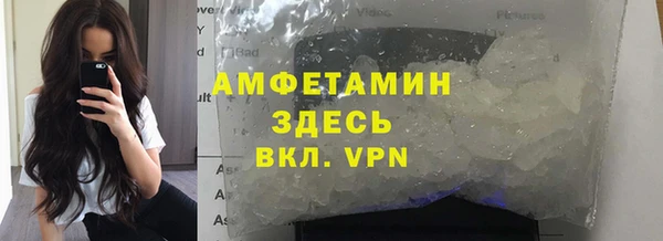 мет Алексин