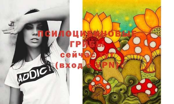 гидра Алексеевка